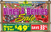 ON SALE NOW-Premium 2 year old plants #1c Reg. $24.95 Now 3 FOR $49.98*CHOOSE FROM: Blackberries • Currants • Gooseberries • Grape Vines • Raspberries Vines & Berries Sale Ad