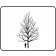 Northern Catalpa - Outline