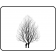 STERLIAN SILVER LINDEN ©outline by ArborTanics inc.