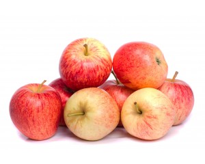 Adobe Stock Image