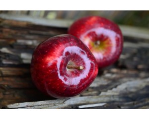 Apple, Haralred