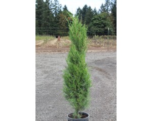 Photo Courtesy of Bountiful Farms