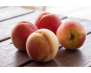 Peach, Hale Haven