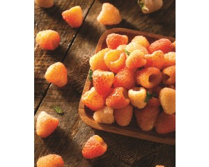 Photo Courtesy of Ball Horticultural Company