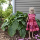 Photo Courtesy of Walter's Gardens, Inc.