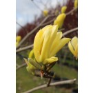 Photo Courtesy of Blue Heron Farm