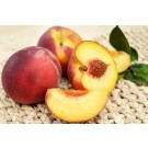 Peach, Elberta