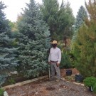 16 year old The Tree Farm garden