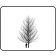 American Sentry Linden - Outline