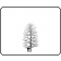 COMMON BALDCYPRESS ©outline by ArborTanics inc.