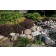 Photo Courtesy of Bailey Nurseries Inc.