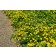 Adobe Stock Image