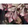 TRI COLOR BEECH-summer leaf ©photo by ArborTanics inc.