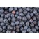 Blueberry - Generic