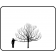 Brandywine Crabapple - Outline