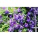 Image by <a href="https://pixabay.com/users/danutaniemiec-4628379/?utm_source=link-attribution&amp;utm_medium=referral&amp;utm_campaign=image&amp;utm_content=2212413">danuta niemiec</a> from <a href="https://pixabay.com/?utm_source=link-attribution&amp;ut