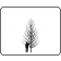 CLEVELAND PEAR ©outline ArborTanics Inc.