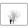 EASTERN REDBUD ©outline ArborTanics Inc.