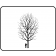 Espresso Kentucky Coffeetree - Outline ©photo ArborTanics Inc.