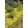 Adobe Stock Image
