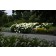 Photo Courtesy of Bailey Nurseries Inc.