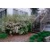 Photo Courtesy of Bailey Nurseries Inc.