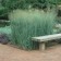Photo Courtesy of Walter's Gardens, Inc.