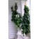 Photo Courtesy of Bailey Nurseries Inc.