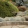 Photo Courtesy of Walter's Gardens, Inc.