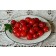 Photo Courtesy of Bailey Nurseries Inc.
