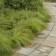 Photo Courtesy of Walter's Gardens, Inc.