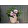 Photo Courtesy of Syngenta Flowers