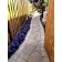 Photo Courtesy of TERRA NOVA® Nurseries, Inc.