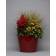 Photo Courtesy of Ball Horticultural Company