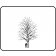 Frontier Elm - Outline
