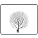 GLOBE NAVAJO WILLOW  ©outline ©photo by ArborTanics inc.