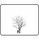 Goldenrain Tree ©outline ArborTanics Inc.