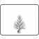 Greenspire Linden  ©Outline ArborTanics Inc.