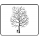 Hackberry - Outline