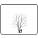 Heritage® Birch Clump ©outline by ArborTanics inc.