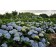 Image by <a href="https://pixabay.com/users/thvldml1004-5377520/?utm_source=link-attribution&amp;utm_medium=referral&amp;utm_campaign=image&amp;utm_content=4144224">young seo</a> from <a href="https://pixabay.com/?utm_source=link-attribution&amp;utm_mediu