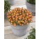 Photo Courtesy of Concept Plants