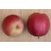 Creative Commons 3.0 - https://commons.wikimedia.org/wiki/File:Summerred.jpg