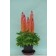 Photo Courtesy of Green Fuse® Botanicals, Inc.