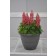 Photo Courtesy of Green Fuse® Botanicals, Inc.