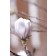 Photo Courtesy of Bailey Nurseries Inc.
