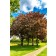 Adobe Stock Image
