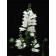 Photo Courtesy of Bailey Nurseries Inc.