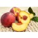 Peach-Generic