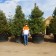 ©ArborTanics Inc.